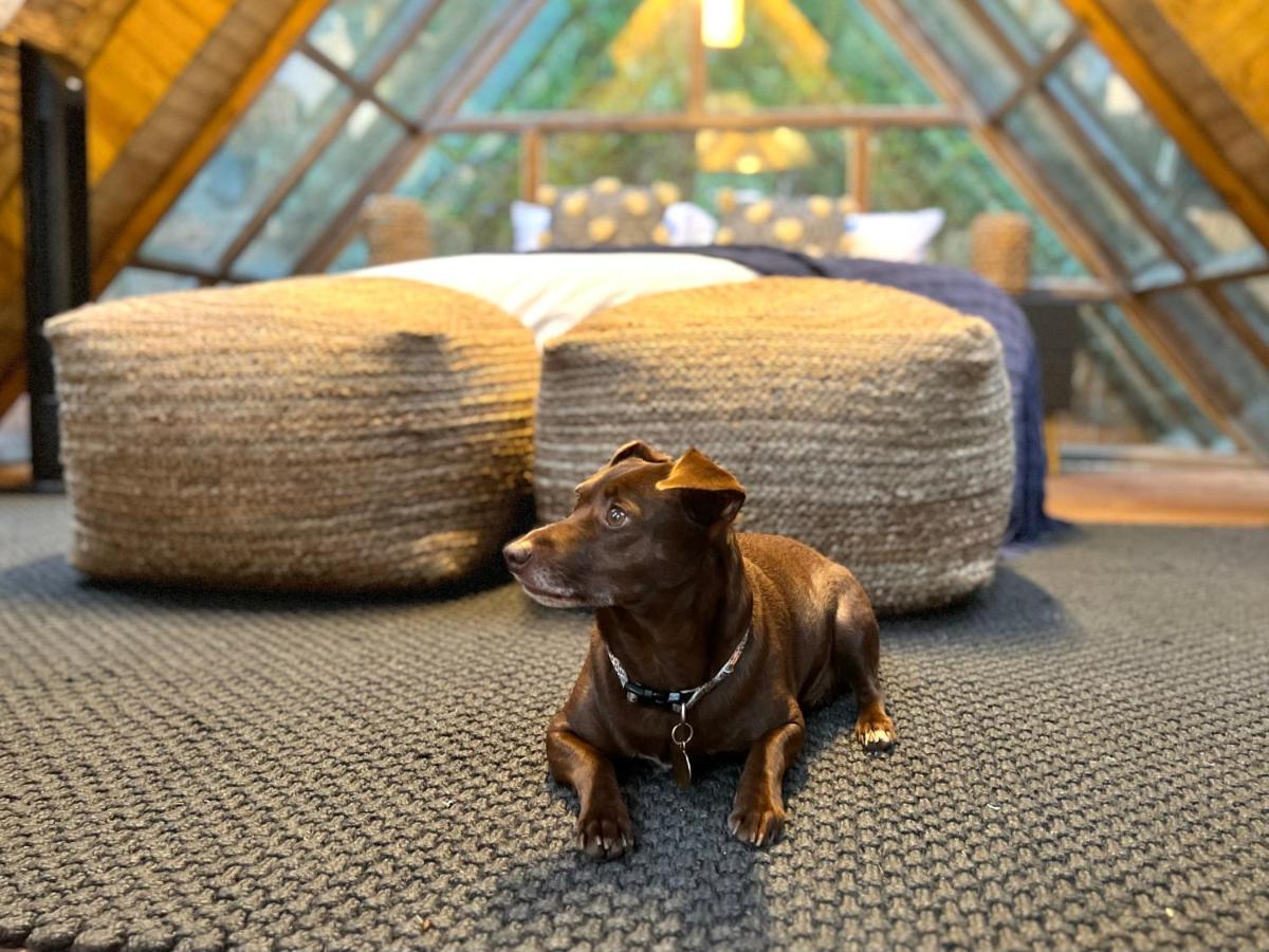Bubblesky Glamping Guatape Hotel Exterior foto